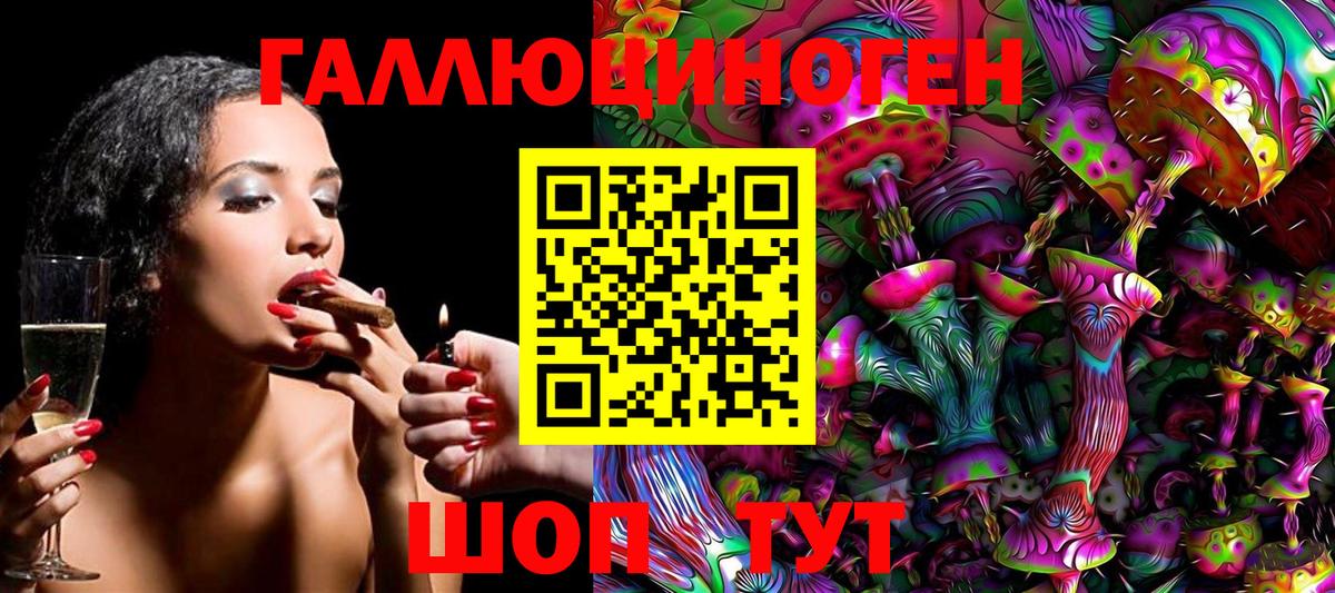 где найти   Псилоцибиновые грибы прущие грибы  Вход с VPN  Звенигород  Псилоцибиновые грибы Psilocybe 