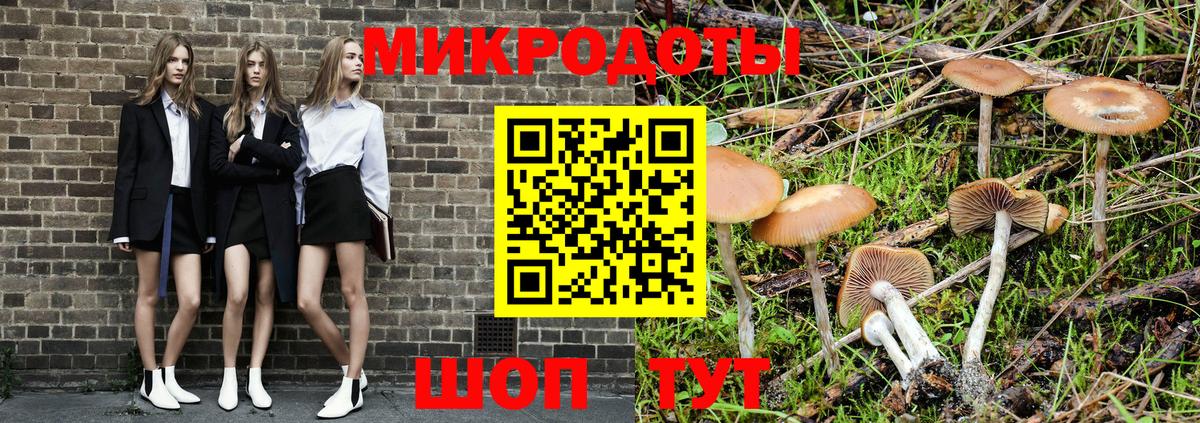 Псилоцибиновые грибы прущие грибы Звенигород